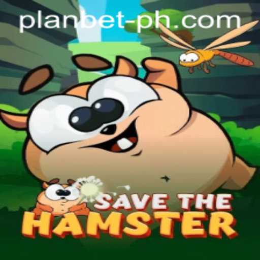 Discover the Excitement of SavetheHamster and the Strategy of Plan Bet